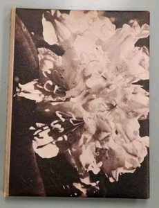 1955 ANACORTES HIGH SCHOOL YEARBOOK ANACORTES, WASHINGTON THE RHODODENDRON - Picture 1 of 1