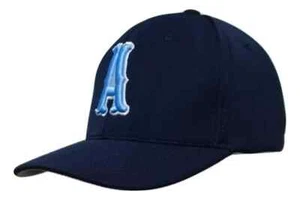 ARGENTINIEN WELTMEISTER - Softbol - TRUCKERMÜTZE - NEU - Bild 1 von 2