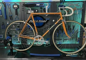 De Rosa Molteni 73 Campagnolo Colnago Cinelli Bianchi Master Vintage Bici Eroica - Foto 1 di 17