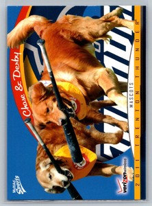 Chase Derby MultiAd Trenton Thunder SGA 2011 34 Trenton Thunder Bat Dog