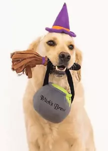 ZIPPY PAWS Halloween Kostüm Set Hexenkostüm für Hunde, Einheitsgröße - Bild 1 von 2