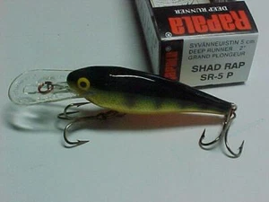 Shad Rap SR-5 P Rapala Fishing Lure Orig Box Papers - Picture 1 of 1