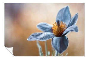 Póster artístico de primer plano floral flor de pasque azul arte de pared decoración del hogar - Imagen 1 de 4