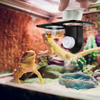  Accessoires gecko à crête de reptiles récipient eau et nourriture