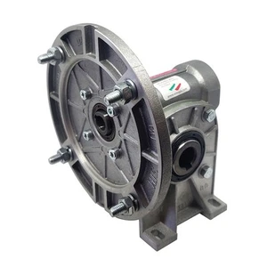 RIDUTTORE VITE SENZA FINE RMI 28 S 1/56 PAM 56 B5 FORO 14 LUBR. STM - Imagen 1 de 3