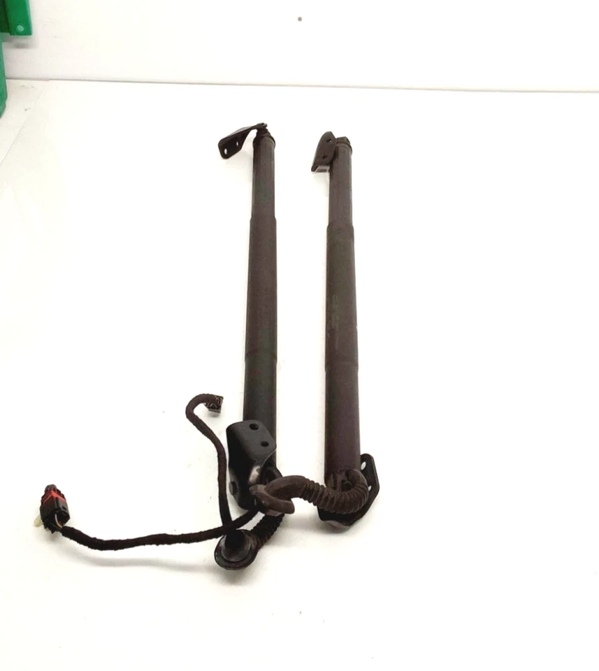 Nissan Murano 2015 - Puntales de cilindro de elevación eléctrica 2X OEM 90560-5AA1A Foto 1 de 4