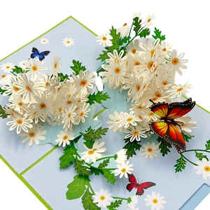 Pop Up Greeting Card White Daisy Field Blooming Flower Birthday Thank You Gift - Picture 1 of 8