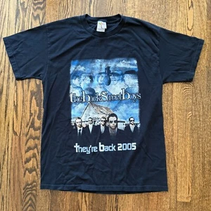 Vintage Backstreet Boys They're Back 2005 T Shirt Size Large Band Music Rap Tee - Picture 1 of 5