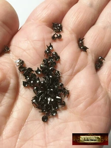 M01521-GunMetal MOREZMORE 50 tachuelas 3 mm picos redondos domo tachuelas miniatura - Imagen 1 de 1