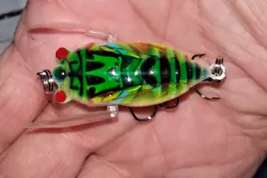 #AC Crazy Crawler, KO, Crazy Crawler 1 3/4 " .20 oz. Natural CICADA Lure Natural - Picture 1 of 6