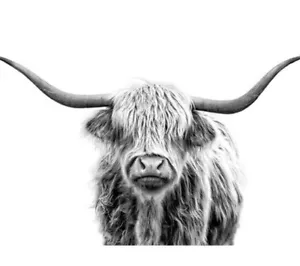 Paint By Numbers DIY Kit Animals Cow Bison Buffalo 40CMx50CM Canvas - Picture 1 of 7