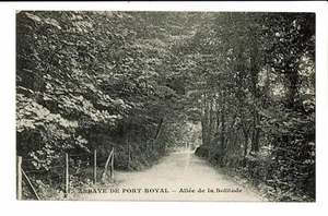 CPA - Carte Postale -Jamaïque - Abbaye de Port Royal - Allée de la Sollitude - Picture 1 of 2