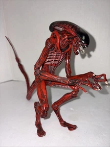 Modellino NECA Aliens Genocide Red Dog Xenomorph Warrior - Foto 1 di 8
