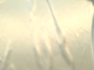 Awesome Very PALE SILVER GRAY High Sheen Feather Weight CHARMEUSE SATIN Fabric - Image 1 of 3