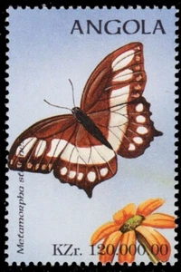 ANGOLA 1017a - Schmetterlinge "Metamorpha stelene" (pb50241) - Bild 1 von 1