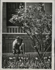 Foto imprensa 1961 Nova York jovens amantes No Cemitério Trinity Church-Nera 06044