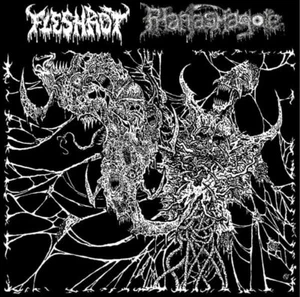 FLESHROT / PHANTASMAGORE – Twisted Visions Of Abominations SPLIT CD - Bild 1 von 2