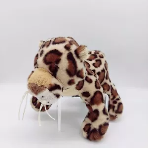 Ganz Webkinz HM182 Spotted Leopard Plush Brown White No Code - Picture 1 of 8