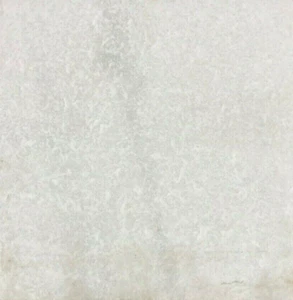 12x12 Fliese weiß Thassos Stein geschliffen Boden Wand (50 Quadratfuß) T-75 - Bild 1 von 5
