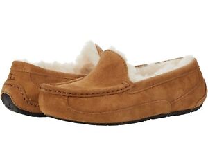 New in Box UGG Australia Pure K ASCOT Chestnut Suede  Kids Slippers Size 3 35