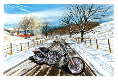 TARJETAS DE NAVIDAD HARLEY DAVIDSON #X787 SESIÓN DE FOTOS EN SNOWY COUNTRY ROAD PACK 10 Foto 1 de 4