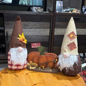 Autumn Gnome Decor Set with Pumpkin Centerpiece - Picture 1 of 8