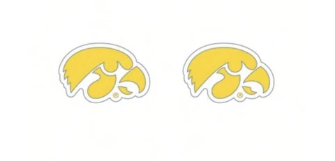 Iowa Hawkeyes Stud Earrings Hypoallergenic NCAA Licensed Jewelry By Aminco Cover