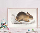 POSTER PRINT Easter Bunny Chinese Hare Rabbit Lapin Bunny Gift Easter Decor