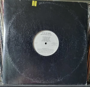 Sunz Of Man – The Last Shall Be First (Red Ant) 1998 2x12 Vinyl Promo LP Wu Tang - Picture 1 of 2