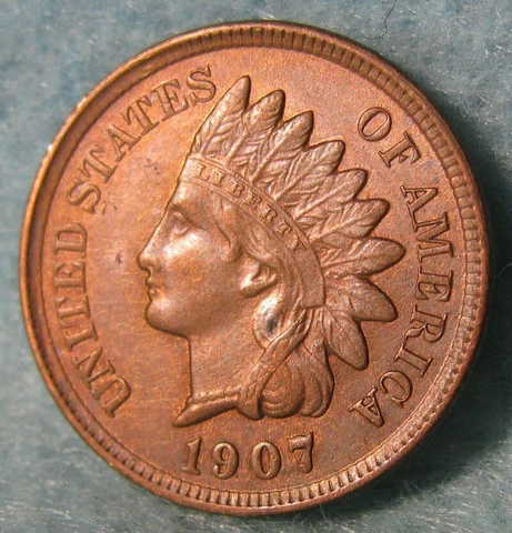 1907 Indian Head Penny Small Cent United States Coin #334 Cover