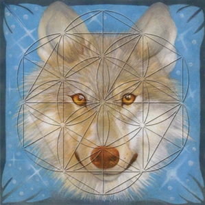 Wolf Totem Animal Flower of Life Grid Card Laminated 8x8inch Leadership Wisdom - Bild 1 von 2