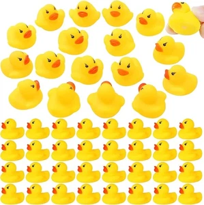Rubber Ducks in Bulk,Assortment Duckies for Jeep Ducking Floater Duck Bath Toys - Picture 1 of 7