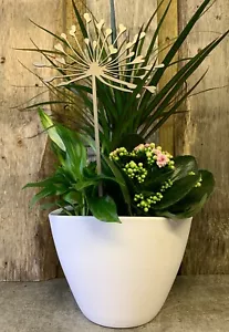 PLANTA DE FLORES ALLIUM MACETA MACETA DE ESTACA JARDÍN ESPIGA DE ACERO DECORACIÓN REGALO A - Imagen 1 de 4