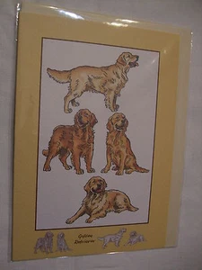 CARTE + ENVELOPPE - chien GOLDEN RETRIEVER - Picture 1 of 1