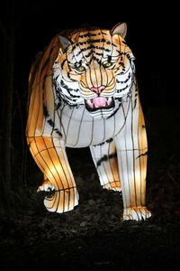 Chinese Lanterns Silk LED Outdoor Lights - Picture 1 of 9