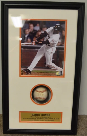 SF Giants Barry Bonds  500 Homerun Ball & 8x10 Shadow Box Stacks of Plaques COA Cover