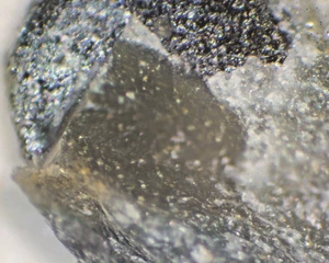 Ottrelite: (tipo localidad) Ottré, Walonia, Bélgica, Micromontaje - Imagen 1 de 3