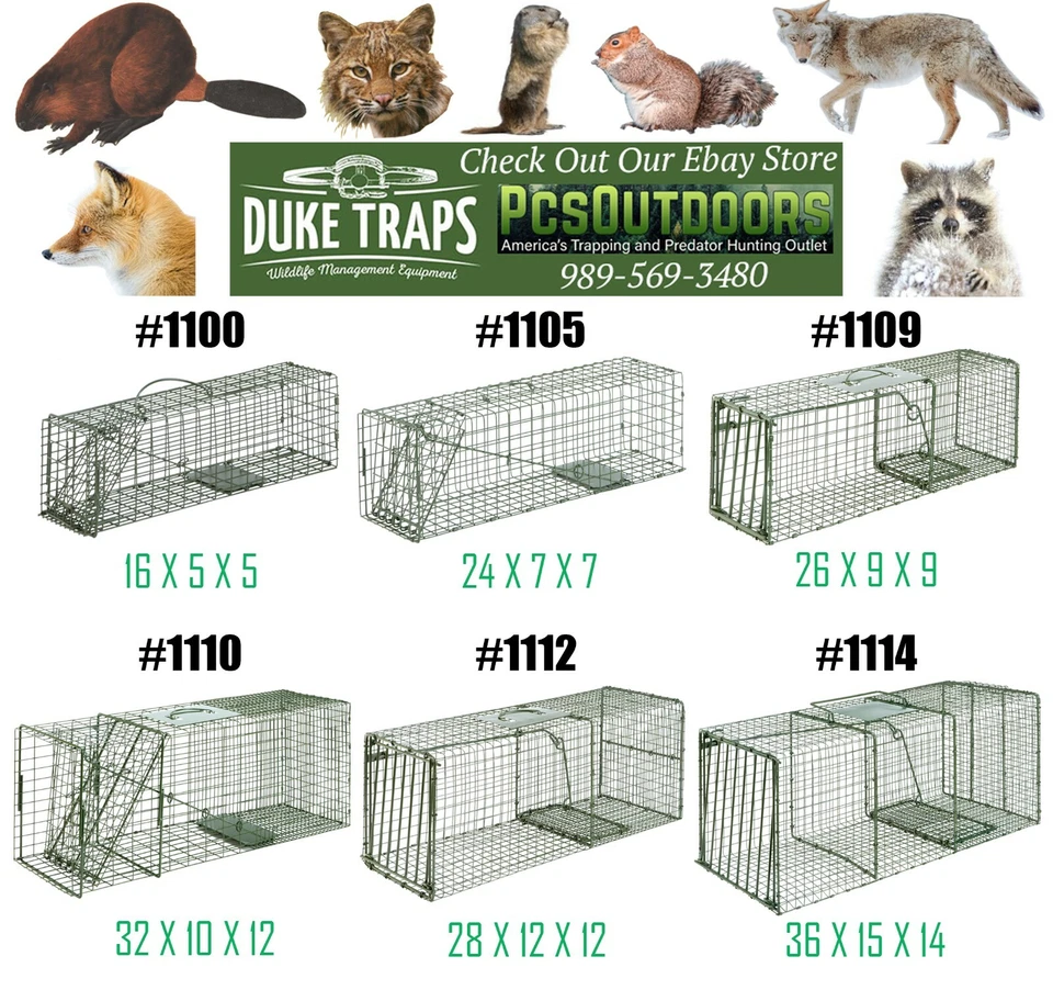 Trampas jaula duque humano vivo - Elige tamaño y cantidad - Atrapa animales y captura  Foto 1 de 1