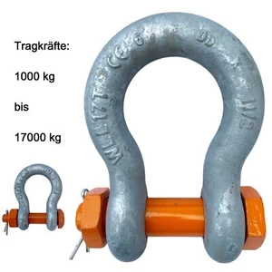 Schäkel hochfest geschweift Schraubbolzen oder Mutter Splint TK wählbar - Bild 1 von 11