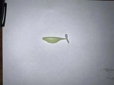 6th Sense Frequency Minnow 2 In-Exclusive Color White-Chartreuse-24 Baits  - Image 1 of 4