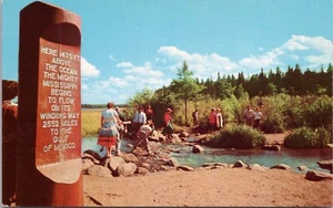 Postal Itasca State Park Minnesota Mississippi River cromada - Imagen 1 de 2