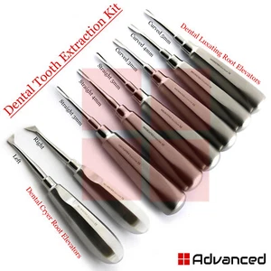 Dental Oral Surgery Root Elevators Luxation Tooth Loosening Extracting Elevators - Foto 1 di 7