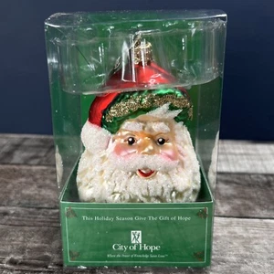 Christborn ORNAMENT Vintage Christmas SANTA FACE Hand Blown Glass GERMANY - Picture 1 of 5