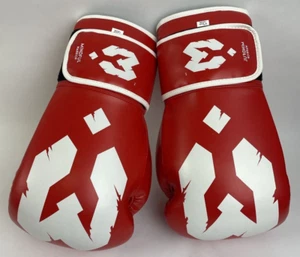 MINDFUL Warrior 12oz Sparring Training Boxing Gloves - MMA Fitness Workout - NEW - Picture 1 of 8