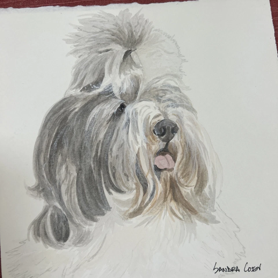 Бородатый колли оригинальная акварель от британского художника Сандры Коэн. 8 X 8 - Изображение 1 из 1