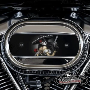 HARLEY DAVIDSON MILWAUKEE 8 VENTILATOR AIR CLEANER INSERT 114 & 117 - BANDITA - Picture 1 of 1