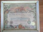 FRAMED 1962 Issued Shellback Imperium Neptuni Regis Certificate Paul E. LEE