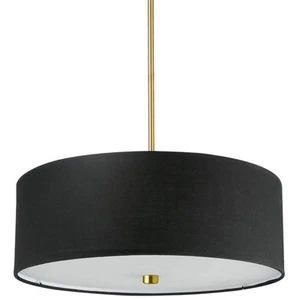 Dainolite 571-204P Everly 4 Light 20"W Pendant - Black - Picture 1 of 12