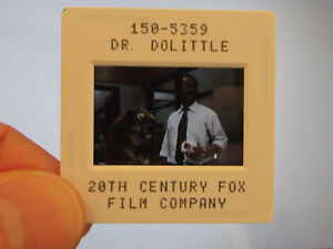 Original Press Promo Slide Negative - Dr Dolittle - 1998 - Eddie Murphy -Tiger B