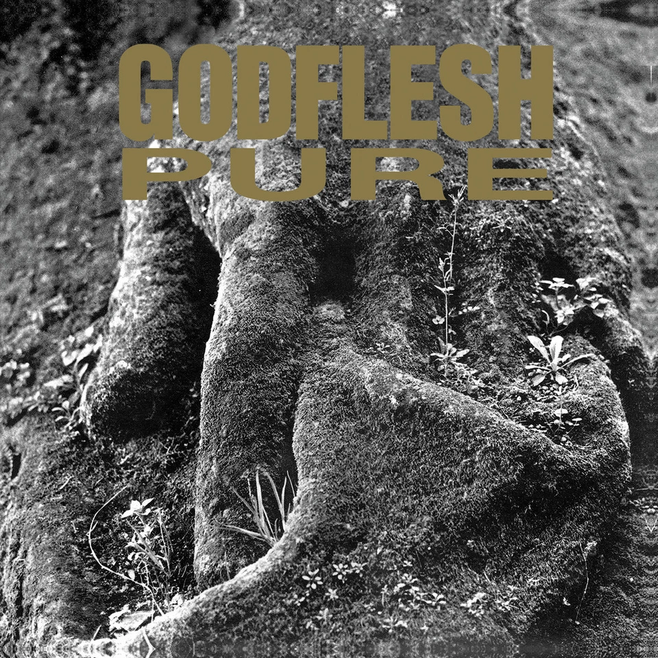 Godflesh - Pure / Vinyl LP limited on COLORED - Image 1 of 1